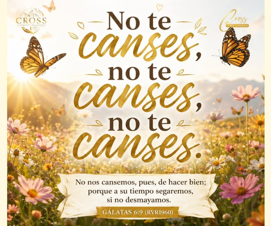 No te canses...